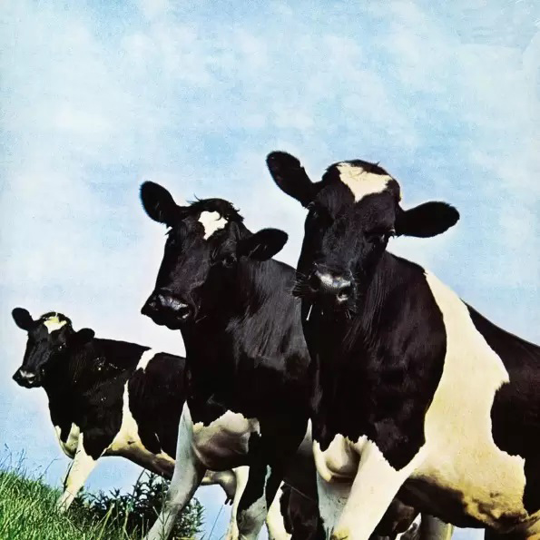 LP Pink Floyd - Atom Heart Mother