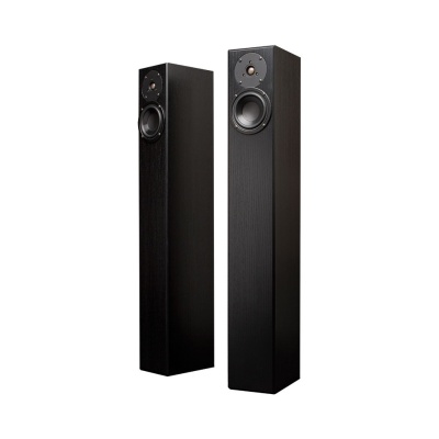 Totem Acoustic Arro