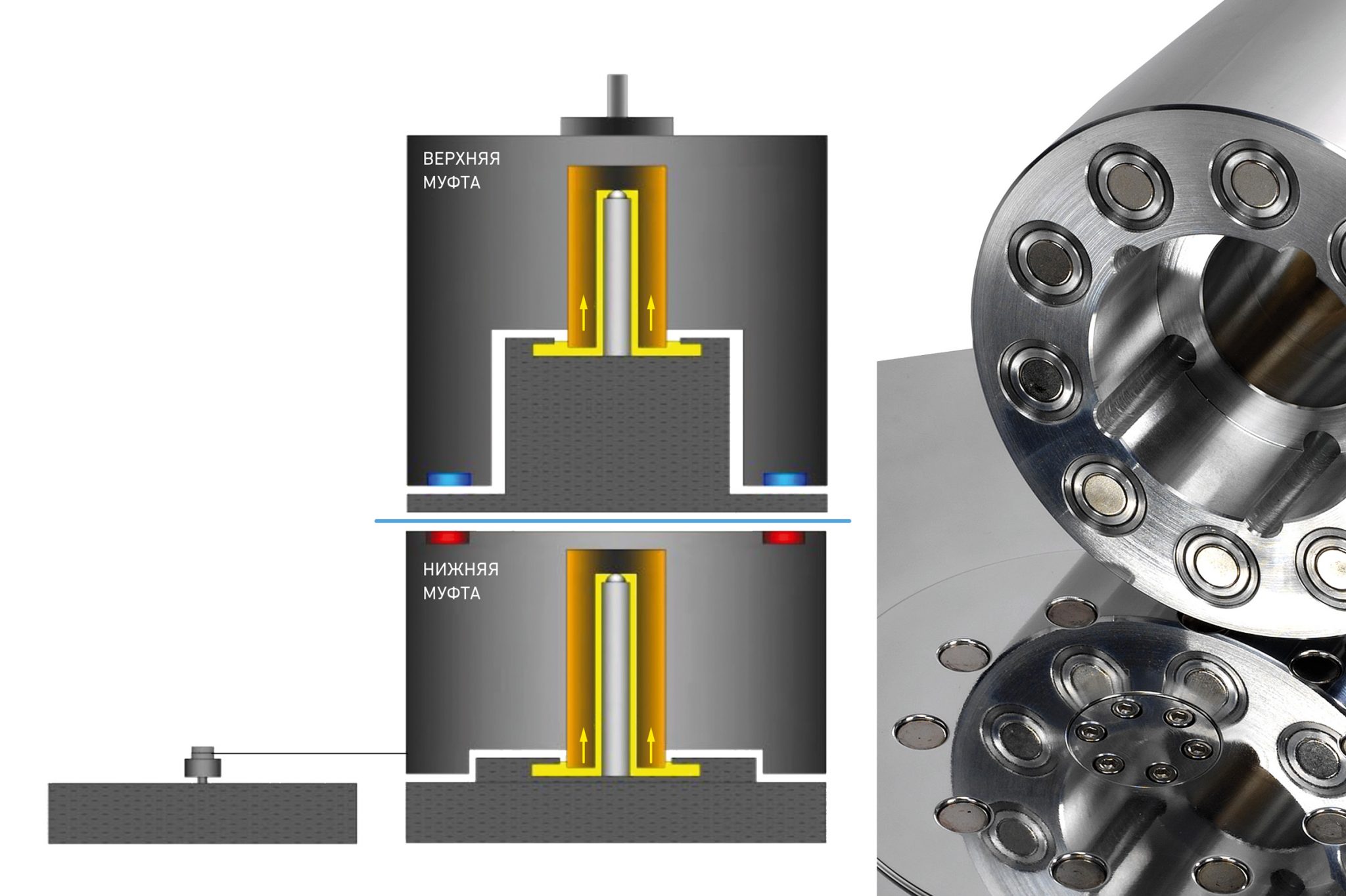 Transrotor FMD