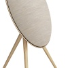 Bang & Olufsen Beosound A9 5th Generation Gold Tone