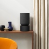 Bang & Olufsen Beosound Balance Black Oak