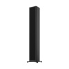 Piega Premium Wireless 501 Gen.2 Black anodised aluminium