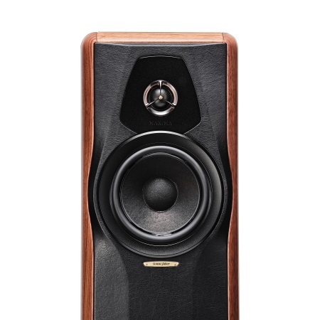 Sonus faber Maxima Amator Walnut Wood