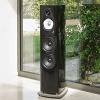 Sonus faber Sonetto V G2 Black – витринный образец