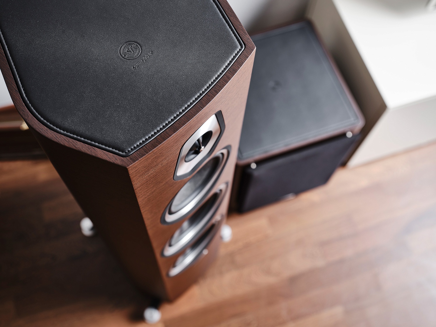 Sonus faber Sonetto V